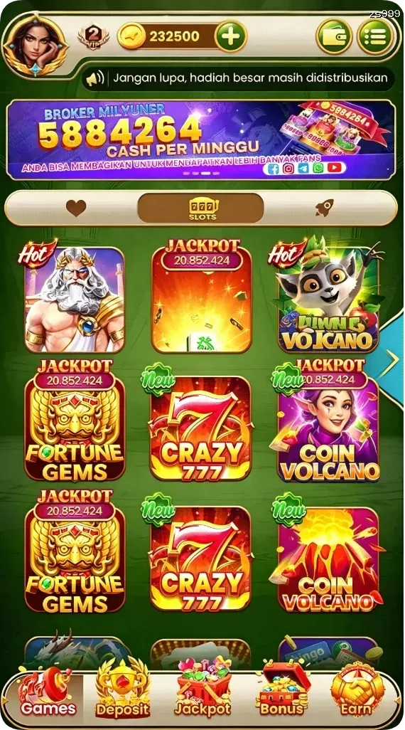 zs999 APK